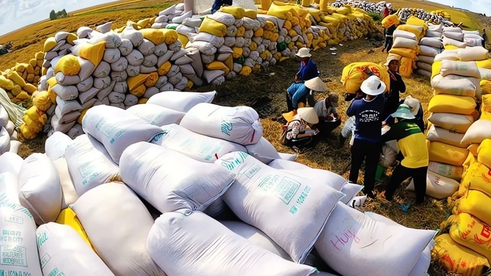 Việt Nam 'rộng cửa' cán mốc 1.000 tỷ USD xuất nhập khẩu trong năm 2026