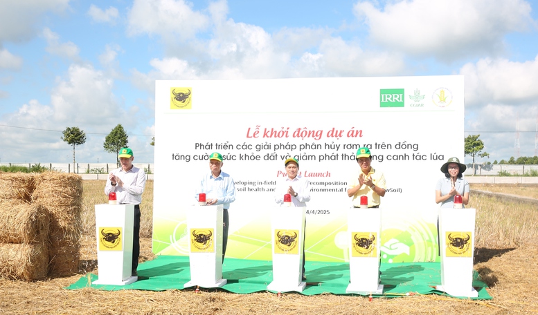 gao-viet-nam-xanh-phat-thai-thap-buoc-tien-moi-cho-nganh-lua-gao