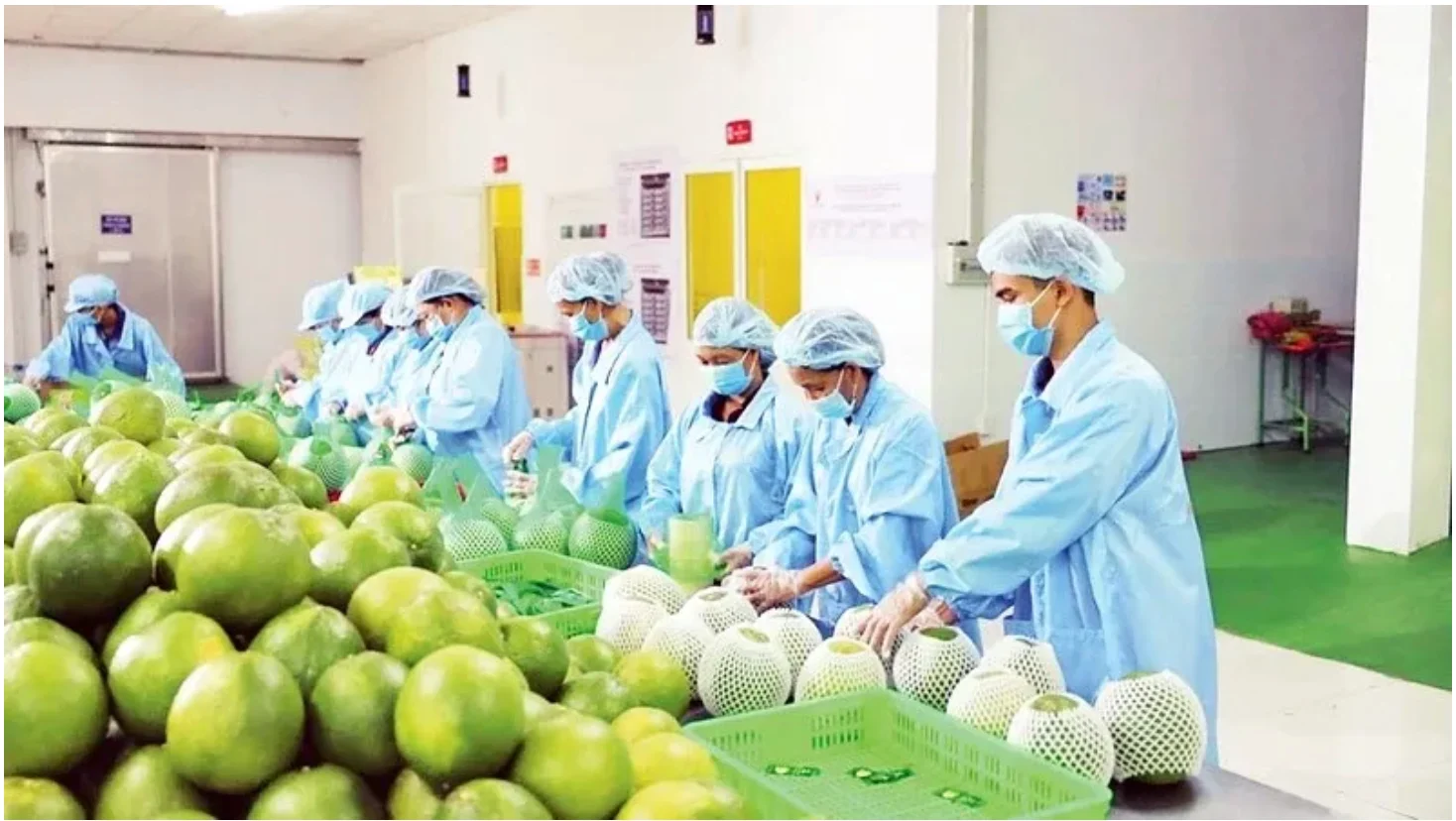 nong-nghiep-2026-nang-suc-ben-chat-luong-hay-van-chay-theo-san-luong