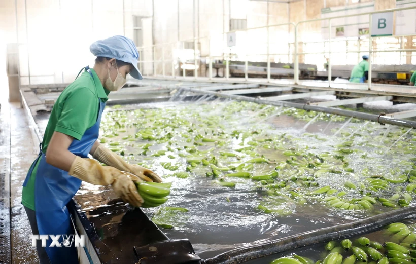 chin-thang-nam-2024-dau-tu-ra-nuoc-ngoai-cua-doanh-nghiep-viet-giam-manh