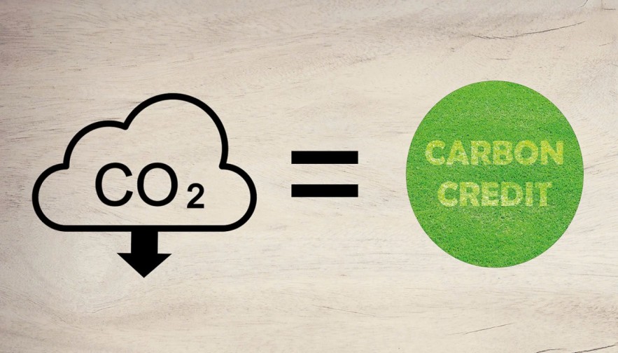 Kích hoạt động lực chuyển đổi xanh