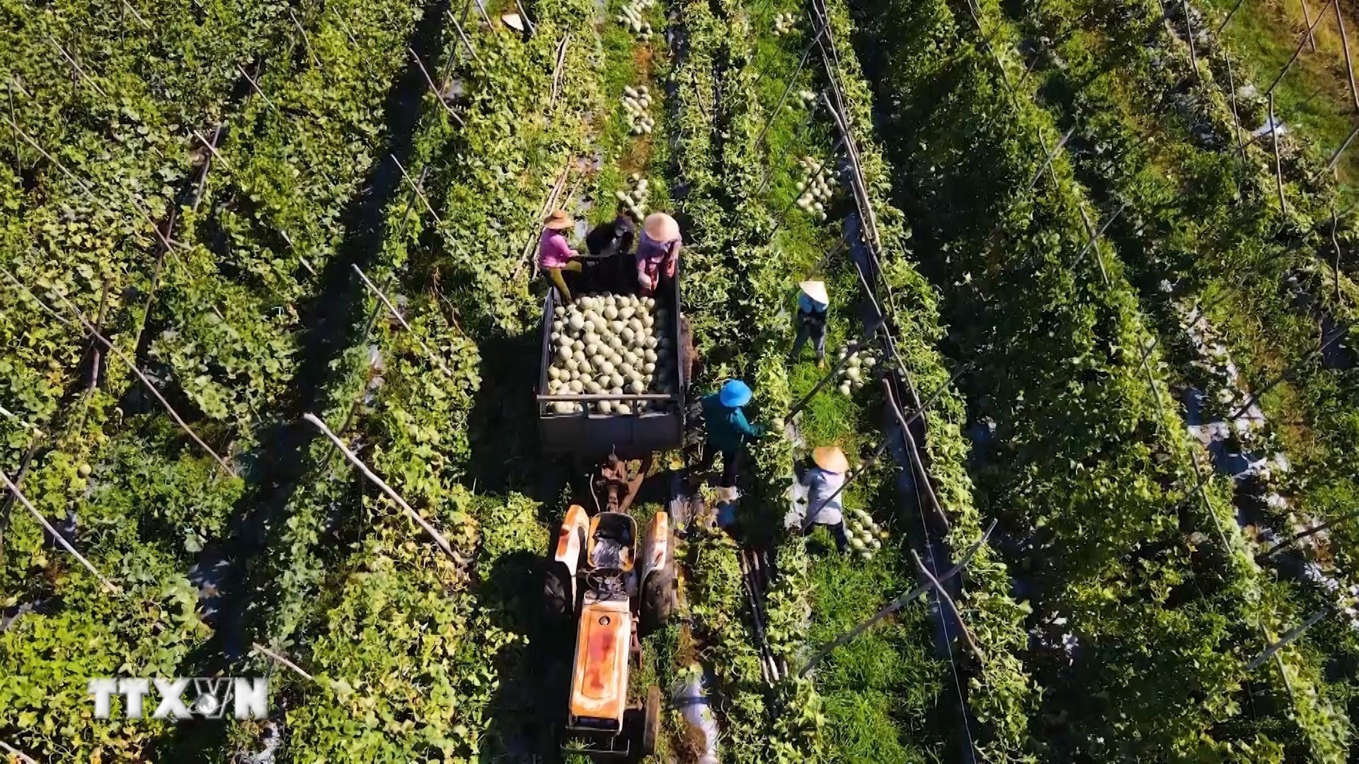 bo-nn-mt-nam-2026-phan-dau-xuat-khau-nong-lam-thuy-san-dat-74-ty-usd