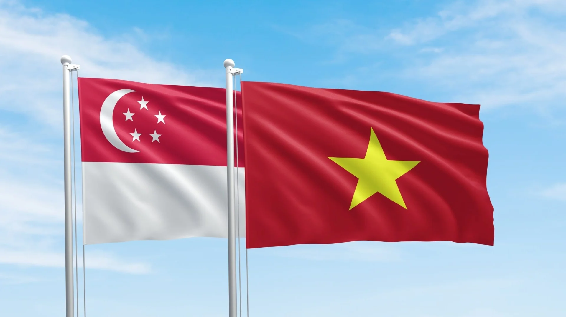 dua-dn-viet-tu-nha-cung-ung-cap-thap-thanh-doi-tac-chien-luoc-cua-cac-tap-doan-singapore