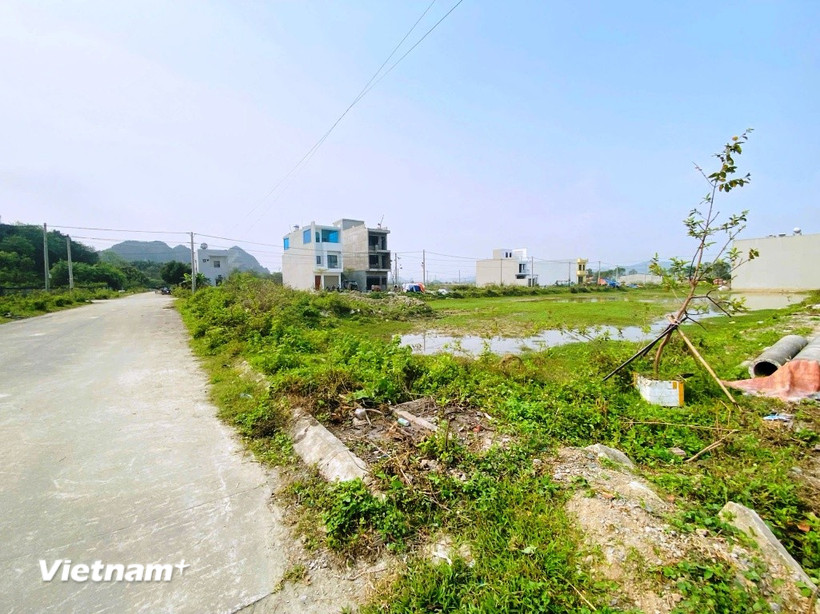 phan-cap-tham-quyen-cho-uy-ban-nhan-dan-cap-tinh-thuc-hien-ve-linh-vuc-dat-dai