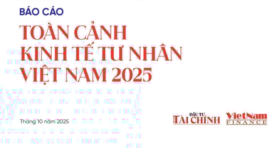bao-cao-toan-canh-kinh-te-tu-nhan-viet-nam-2025