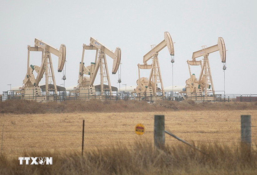 thi-truong-dau-mo-giang-co-giua-lenh-trung-phat-va-rui-ro-thue-quan