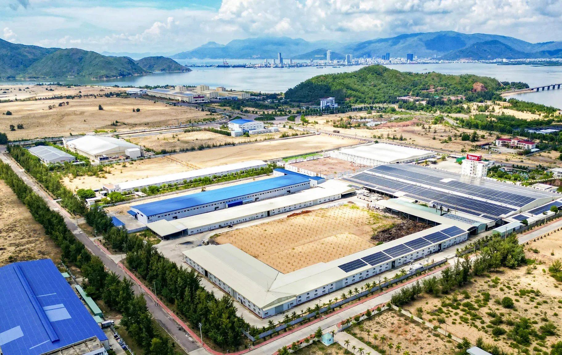 Doanh nghiệp Hong Kong đầu tư dự án gỗ hơn 12 triệu USD vào Gia Lai