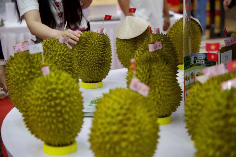 xanh-hoa-xuc-tien-thuong-mai-duong-bang-moi-cho-hang-viet-vuon-xa