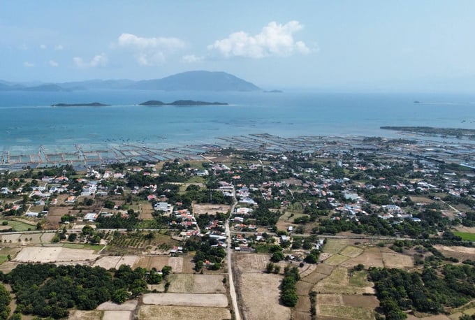 khanh-hoa-thu-hoi-hon-101-ha-rung-san-xuat-phuc-vu-phat-trien-khu-cong-nghiep