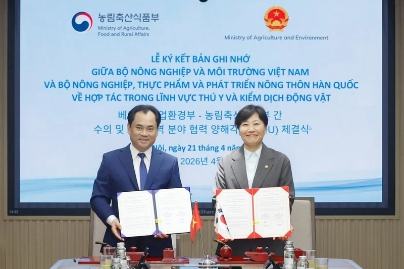 viet-nam-han-quoc-thong-nhat-mo-cua-thi-truong-voi-san-pham-thit-ga-che-bien