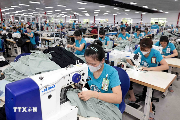 vinatex-dat-loi-nhuan-nam-2025-cao-thu-2-trong-lich-su