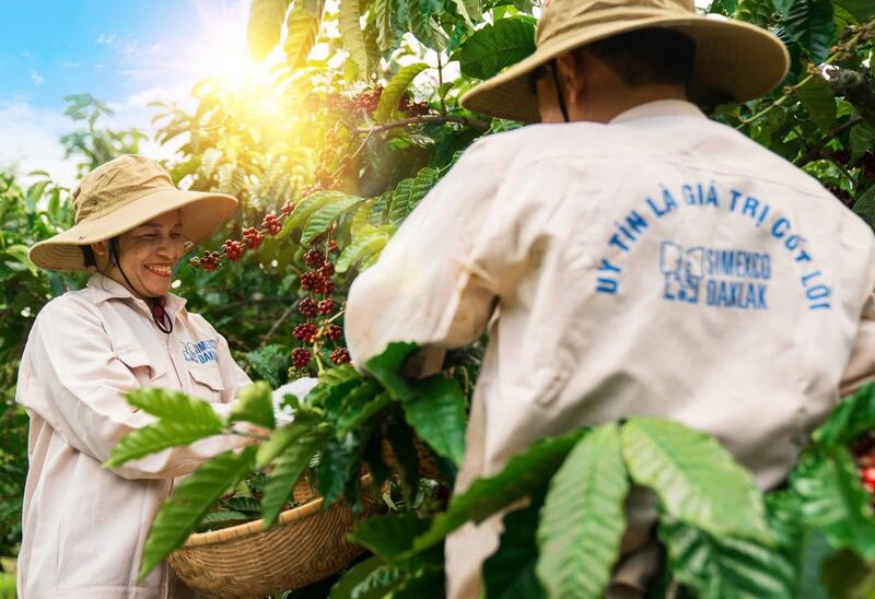 xuat-nhap-khau-va-ky-vong-mua-xuan-moi