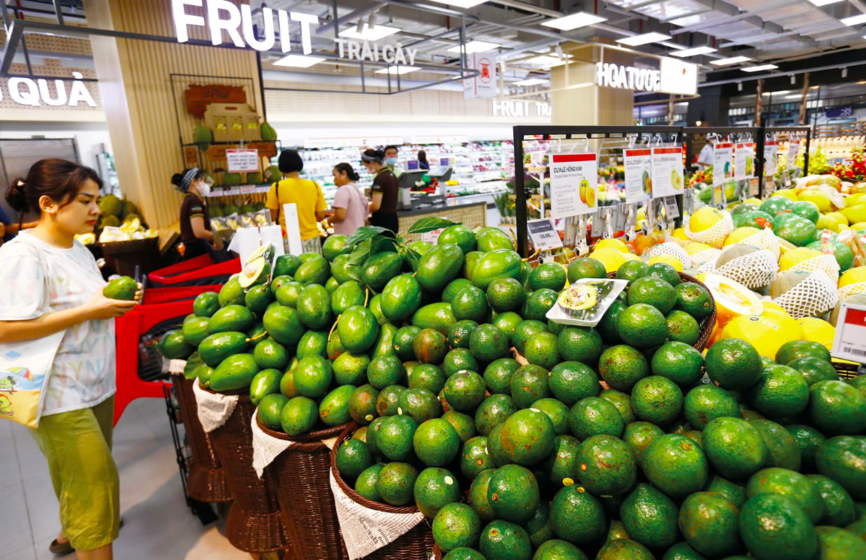 be-do-vung-chac-cho-tieu-dung-noi-dia