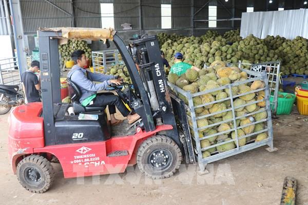 Doanh nghiệp chịu sức ép chi phí vốn trước mùa kinh doanh cao điểm