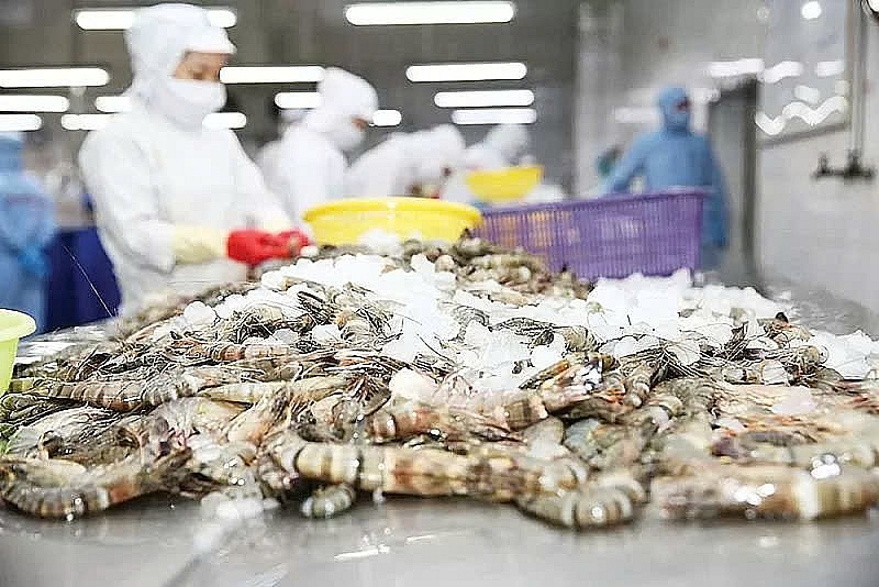 mo-rong-dau-tu-cong-giam-thieu-rui-ro-cua-khu-vuc-tai-chinh-de-ho-tro-tang-truong