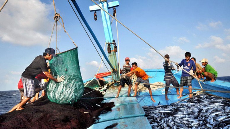 Ngành Thủy sản cần bứt phá để chinh phục mục tiêu xuất khẩu