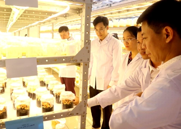 doanh-nghiep-can-day-manh-ung-dung-khoa-hoc-cong-nghe-tang-suc-canh-tranh