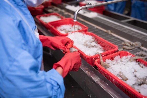 vasep-doanh-nghiep-xuat-khau-tom-khong-the-canh-tranh-neu-my-giu-muc-thue-46