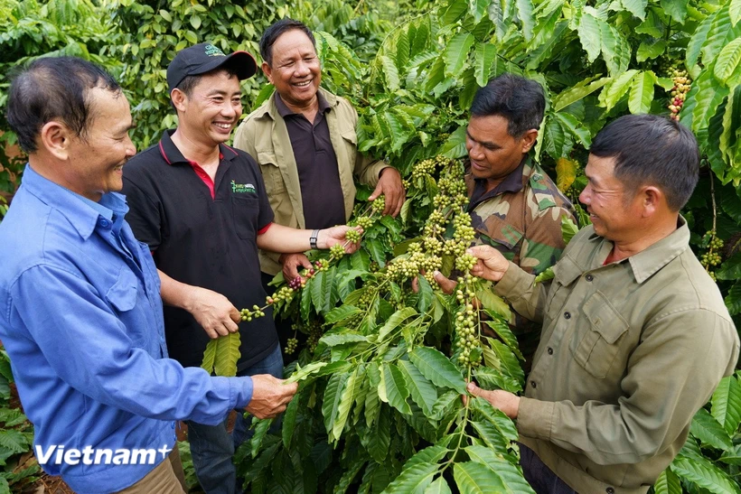 30-nam-nestle-dong-hanh-cung-nguoi-viet-tren-hanh-trinh-phat-trien-ben-vung