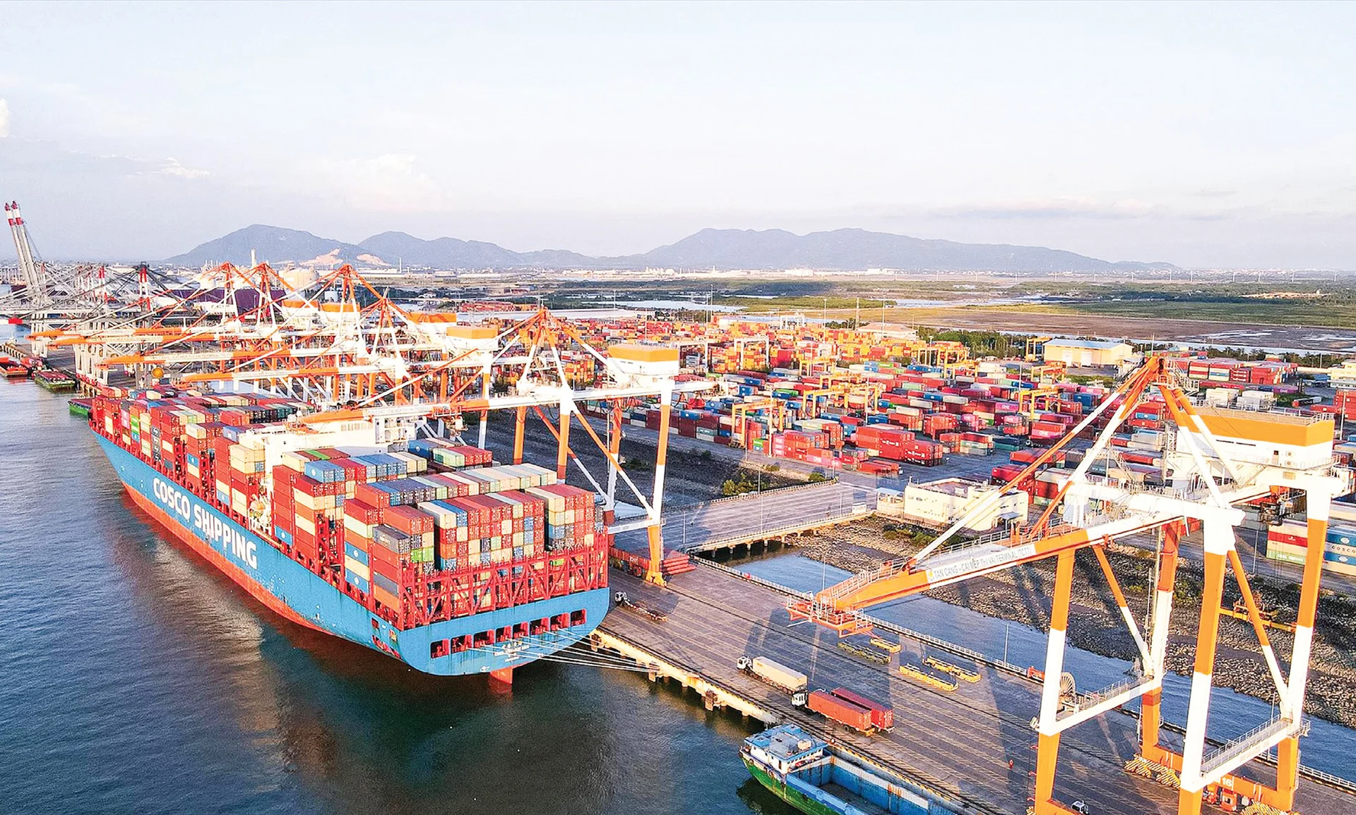 sieu-do-thi-tphcm-hop-luc-de-canh-tranh-voi-cac-trung-tam-logistics-toan-cau