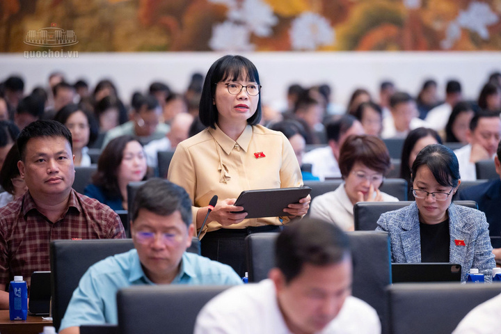 dai-bieu-quoc-hoi-cho-y-kien-ve-du-an-luat-sua-doi-bo-sung-mot-so-dieu-cua-luat-dien-luc