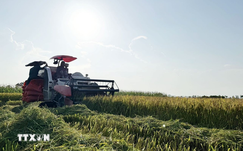 nong-nghiep-viet-nam-2808.jpg nong-nghiep-viet-nam-2808.jpg