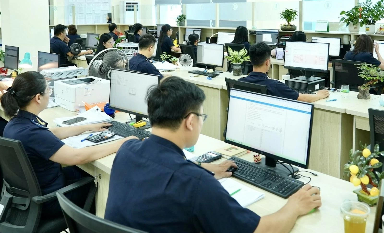 Phân cấp thủ tục, Hải quan bảo đảm kết nối thông suốt, không phát sinh thao tác cho doanh nghiệp