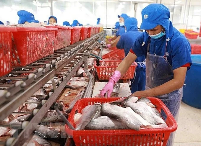 Xuất khẩu cá tra chậm lại trước sức ép thuế chống bán phá giá tại Mỹ