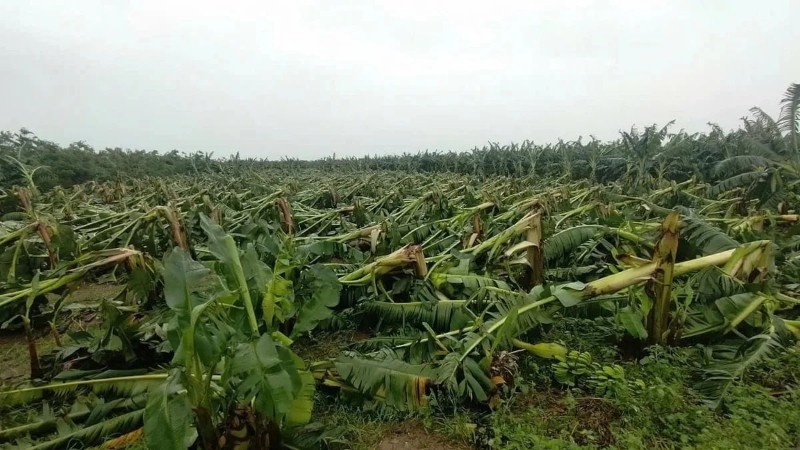 day-manh-so-hoa-khoi-thong-nguon-luc-tu-chinh-sach-mien-giam-tien-thue-dat