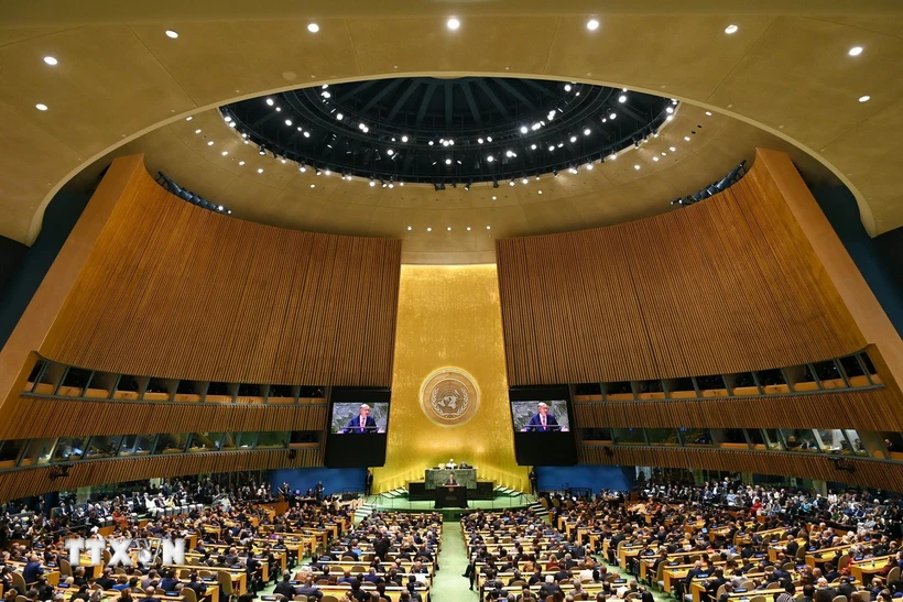 lien-hop-quoc-cong-bo-sang-kien-un-80-do-phai-doi-mat-voi-kho-khan-tai-chinh