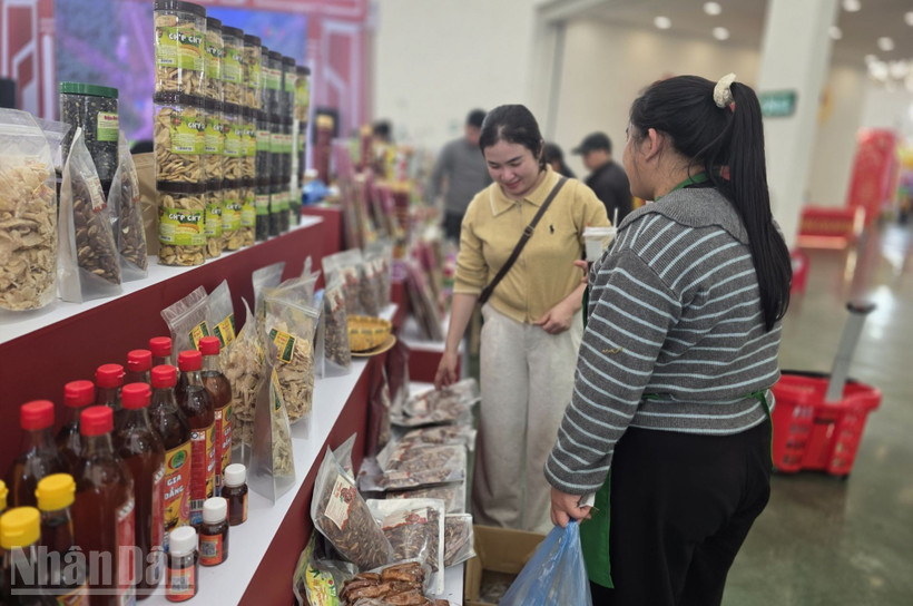 nguon-cung-doi-dao-gia-ca-on-dinh-khong-xay-ra-khan-hang-trong-ngay-mung-3-tet