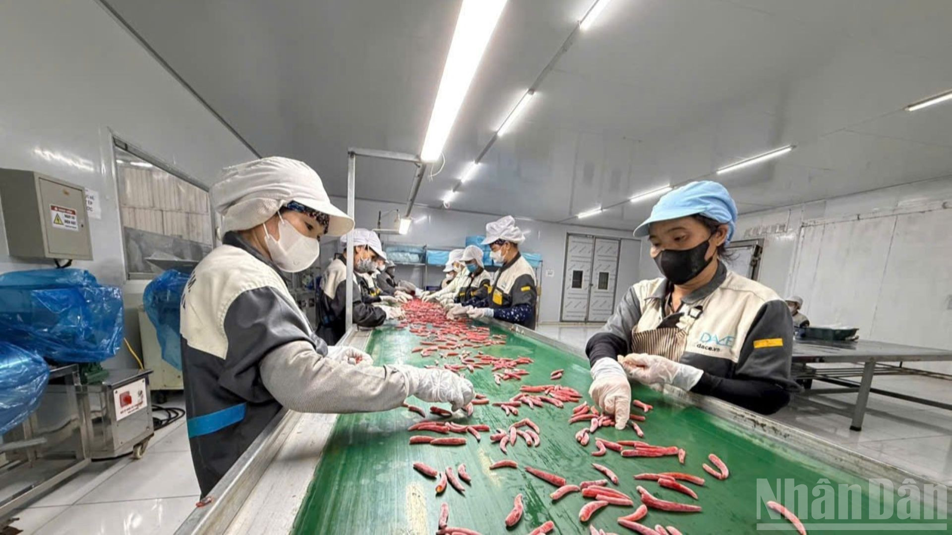 buc-tranh-hoat-dong-doanh-nghiep-2025-co-nhieu-diem-sang-tich-cuc