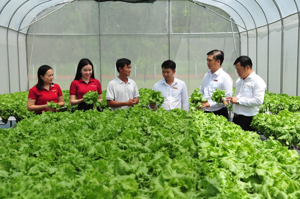 agribank-mo-rong-tin-dung-uu-dai-nong-lam-thuy-san-quy-mo-20000-ty-dong