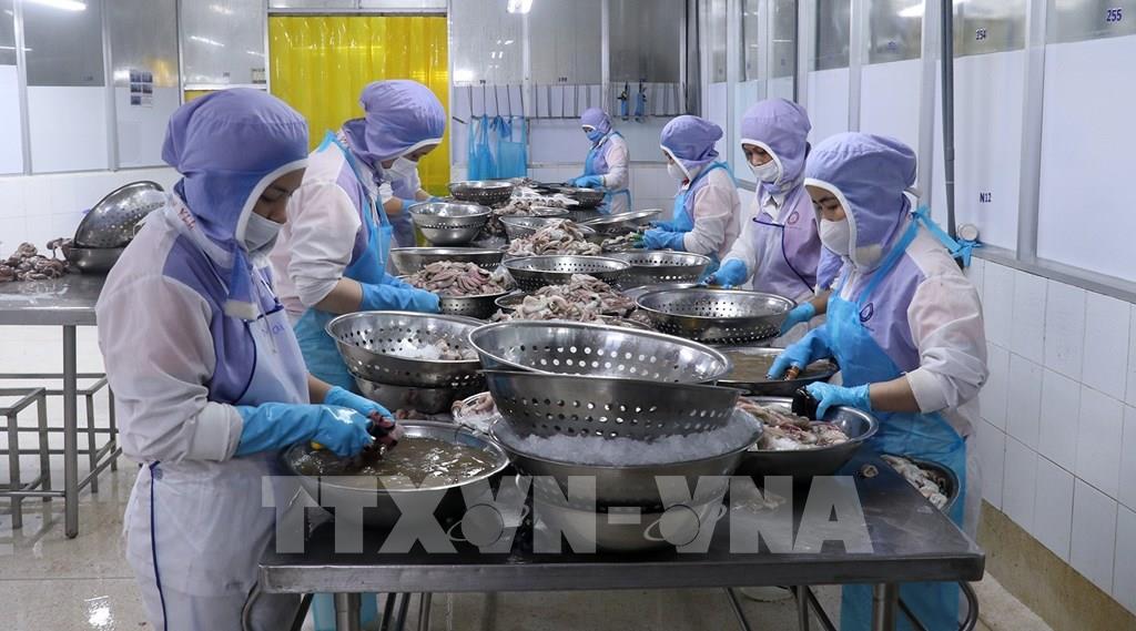 chinh-sach-tai-khoa-thuc-tang-truong