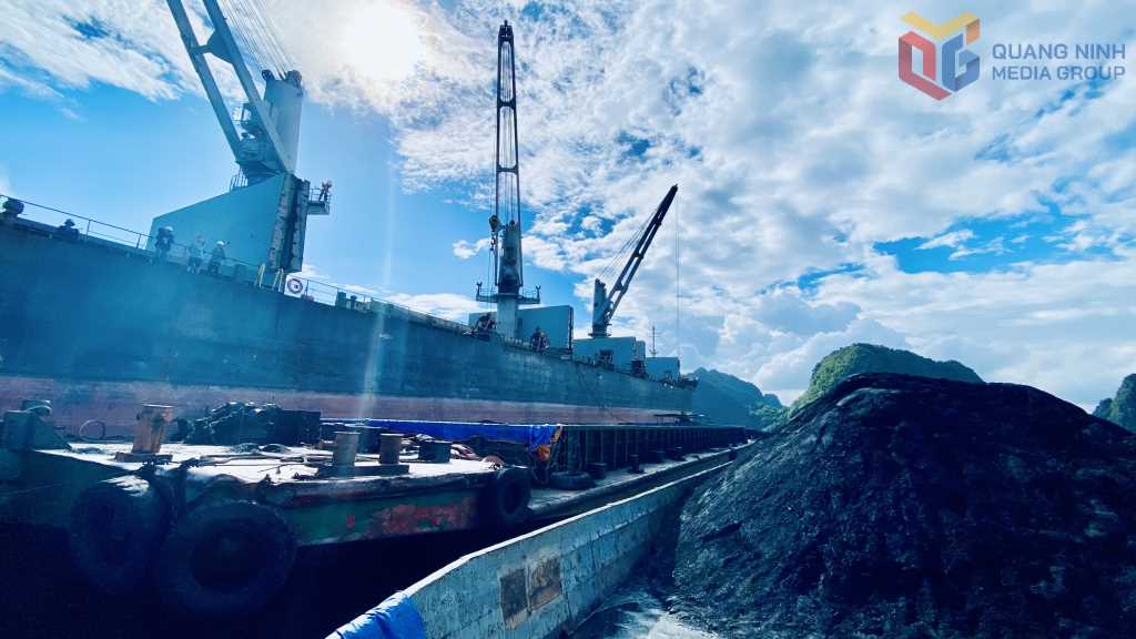 thieu-dung-thu-can-dung-nghich-ly-tai-nguyen-cua-viet-nam