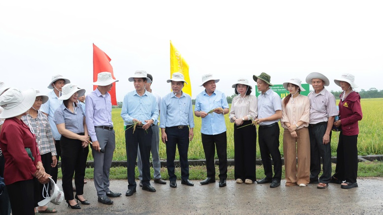 nang-tam-hat-gao-thu-do-tu-xay-dung-mo-hinh-khuyen-nong-an-toan-hien-dai
