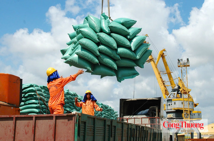 Nghị định 365/2026/NĐ-CP: Tạo thuận lợi cho kinh doanh xuất, nhập khẩu gạo