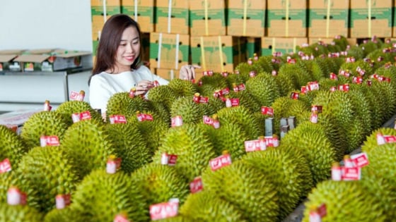 fta-index-chi-ro-nhung-khoang-trong-va-du-dia-de-tan-dung-co-hoi-hoi-nhap