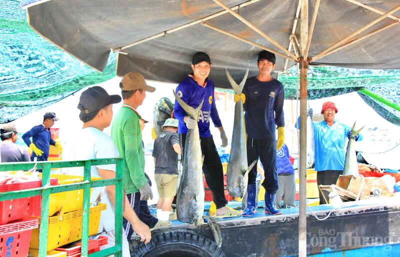 chuan-hoa-san-xuat-gia-lai-huong-muc-tieu-xuat-khau-305-ty-usd