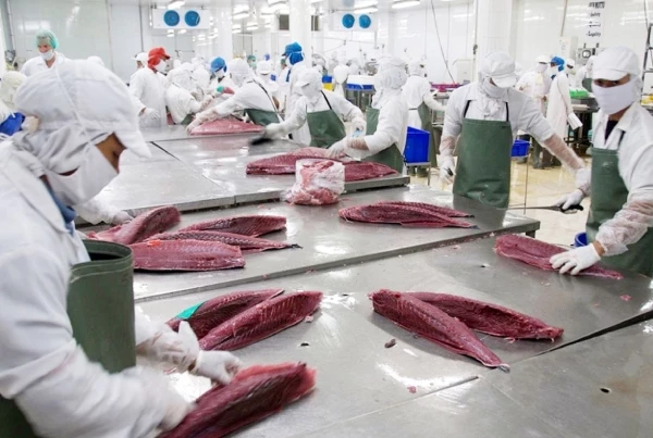 tac-nguon-nguyen-lieu-xuat-khau-ca-ngu-sang-duc-lien-tuc-giam-manh