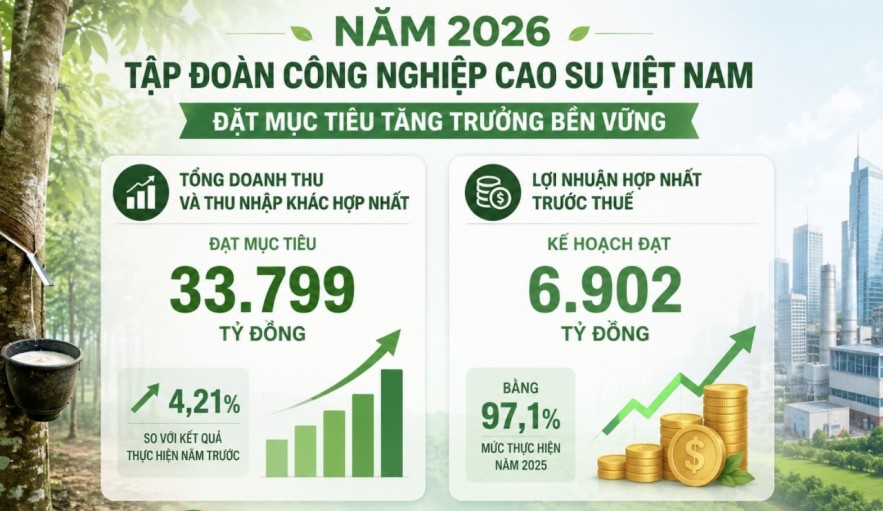 tap-doan-cong-nghiep-cao-su-viet-nam-tiep-tuc-duy-tri-tu-cach-cong-ty-dai-chung