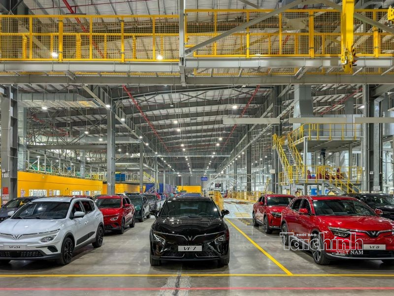 Hải Phòng triển khai Chiến dịch “Làm sạch mã số thuế - Tháo gỡ điểm nghẽn trong kinh doanh”