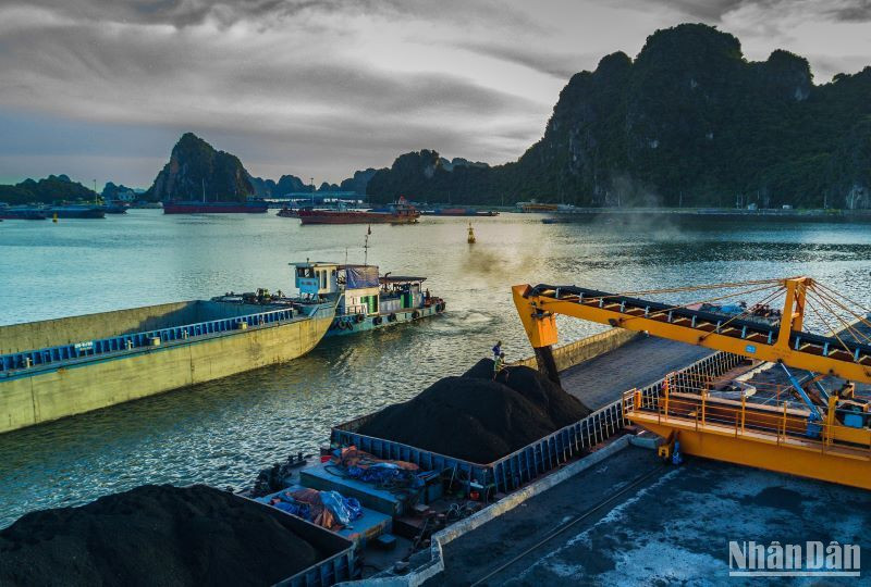 Tháng 1, TKV tiêu thụ gần 3,9 triệu tấn than sạch, nộp ngân sách 2.500 tỷ đồng