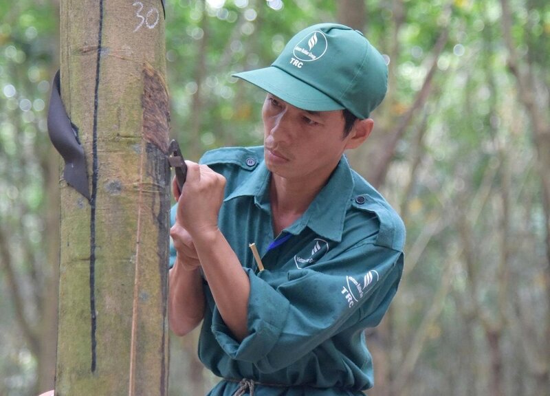 tan-dung-fta-thich-ung-eudr-nang-cao-vi-the-trong-chuoi-cung-ung