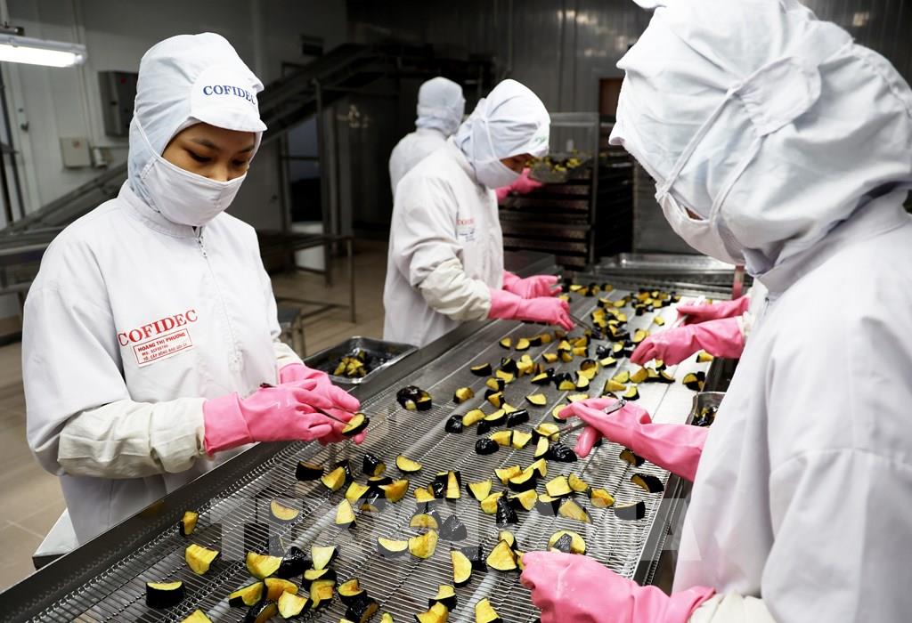 phat-trien-kinh-te-tu-nhan-bai-cuoi-rut-ngan-khoang-cach-chinh-sach-va-thuc-te