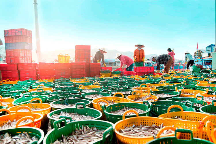 thủy sản.jpg