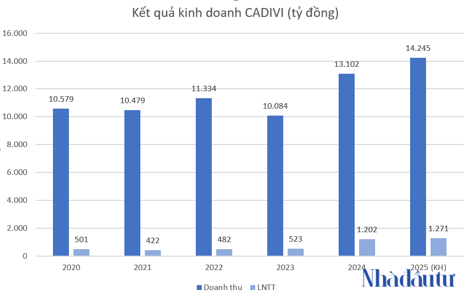 cadivi-len-ke-hoach-lai-ky-luc-va-chia-co-tuc-khung