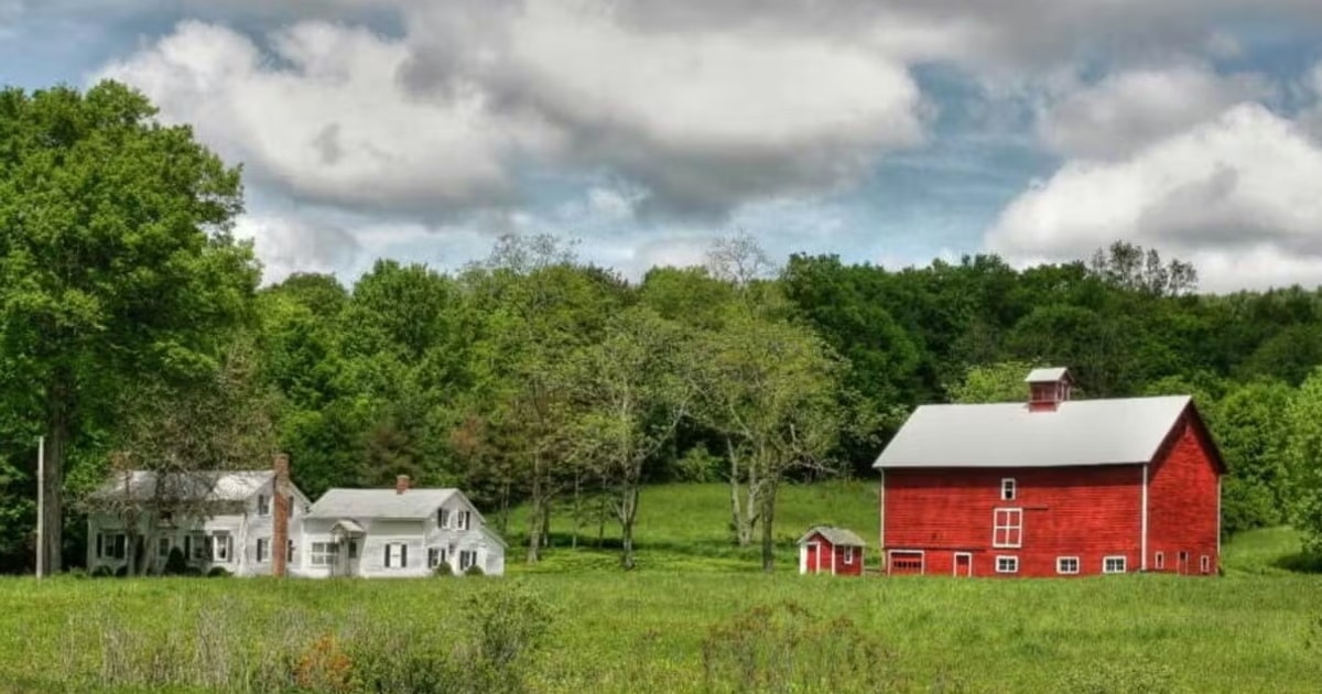 dat-su-dung-sai-muc-dich-phai-dang-ky-bien-dong