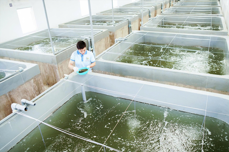 doanh-nghiep-nganh-tom-chu-dong-thich-ung-voi-bien-dong-quoc-te