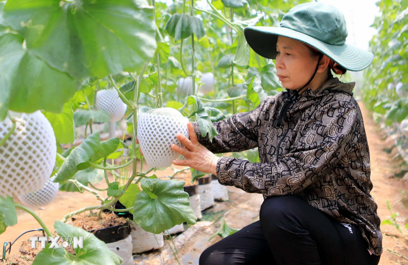 hiep-dinh-vifta-tao-xung-luc-cho-xuat-khau-hang-viet-nam-sang-israel